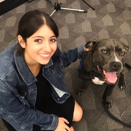 Q&A With Hallie Miller ‘14, BT Alum and Baltimore Banner Reporter